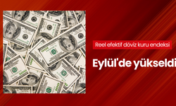 Reel efektif döviz kuru endeksi Eylül'de yükseldi