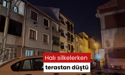 Halı silkelerken terastan düştü