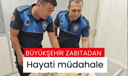 Büyükşehir Zabıtadan hayati müdahale