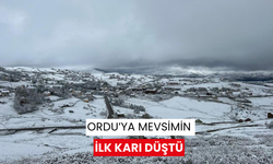 Ordu’ya mevsimin ilk karı düştü