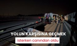 Yolun karşısına geçmek isterken canından oldu