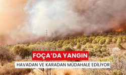 İzmir Foça’da yangın