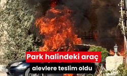 Park halindeki araç alevlere teslim oldu