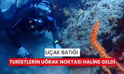 Uçak batığı turistlerin uğrak noktası haline geldi