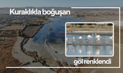 Kuraklıkla boğuşan göl renklendi