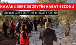 Kavaklıdere'de zeytin hasat sezonu Hillerima Antik Kenti'nde dualarla başladı