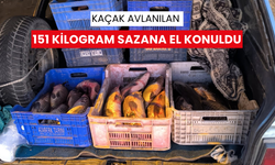 Kaçak avlanılan 151 kilogram sazana el konuldu