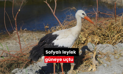 Sofyalı leylek güneye uçtu