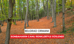 Belgrad ormanı sonbaharın canlı renkleriyle süslendi