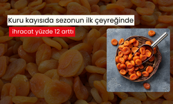 Kuru kayısı ihracatında hızlı başlangıç: İlk çeyrekte yüzde 12’lik artış