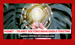 Hizmet - Ticaret sektörü nihai enerji tüketimi toplam 503 bin 682 terajul oldu