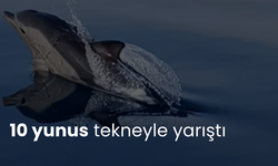 10 yunus tekneyle yarıştı