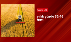 Tarım-ÜFE yıllık yüzde 35,46 arttı