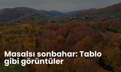 Masalsı sonbahar: Tablo gibi görüntüler