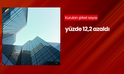 Kurulan şirket sayısı yüzde 12,2 azaldı