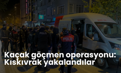 Kaçak göçmen operasyonu: Kıskıvrak yakalandılar