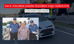 Yaya yolunda kadını öldüren yaşlı sürücüye 6 yıla kadar hapis istendi