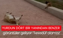 Yurdun dört bir yanından benzer görüntüler geliyor: ‘Tesadüf olamaz’