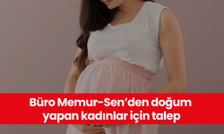 Büro Memur-Sen’den doğum yapan kadınlar için talep