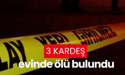 3 Kardeş evinde ölü bulundu