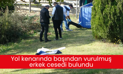 Yol kenarında başından vurulmuş erkek cesedi bulundu