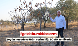 Ege’de kuraklık alarmı: Zeytin hasadı ve ürün verimliliği büyük tehlikede