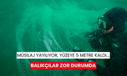 Müsilaj yayılıyor, yüzeye 5 metre kaldı...Balıkçılar zor durumda