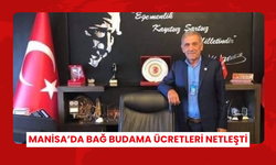 Manisa’da bağ budama ücretleri netleşti