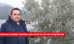 Karasal iklimde tropikal meyveler ve zeytin yetiştiriyor