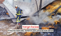 Yangın faciası: 17 hayvan telef oldu, tonlarca yem yanarak küle döndü