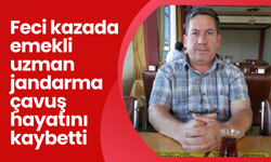 Feci kazada emekli uzman jandarma çavuş hayatını kaybetti