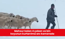 Mahsur kalan 4 çoban ve bin koyunun kurtarılma anı kamerada