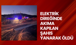 Elektrik direğinde akıma kapılan şahıs yanarak öldü