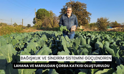 Bağışıklık ve sindirim sistemini güçlendiren lahana ve maruldan çorba katkısı oluşturuldu