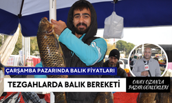 Pazarda Balık Fiyatları 13 Kasım Çarşamba | Havalar soğudu, tezgahlarda balık bolluğu