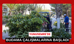 Yunusemre'de budama çalışmalarına başladı