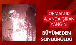 Manisa’da ormanlık alanda çıkan yangın büyümeden söndürüldü