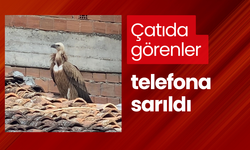 Çatıda görenler telefona sarıldı