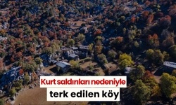 Kurt saldırıları nedeniyle terk edilen köy