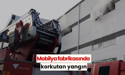 Mobilya fabrikasında korkutan yangın