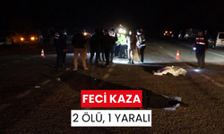 Yolun karşısına geçmeye çalışanlara çarpıp kaçtı: 2 ölü, 1 yaralı