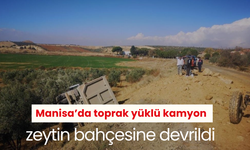 Manisa’da toprak yüklü kamyon zeytin bahçesine devrildi