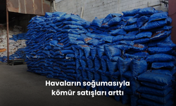 Havaların soğumasıyla kömür satışları arttı