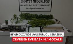 Beylikdüzü'nde uyuşturucu serasına çevrilen eve baskın: 1 gözaltı