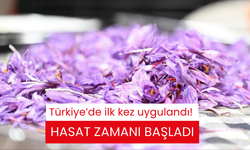 Türkiye’de ilk kez uygulandı! Hasat zamanı başladı