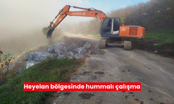 Heyelan bölgesinde hummalı çalışma