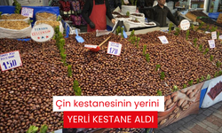 Çin kestanesinin yerini yerli kestane aldı