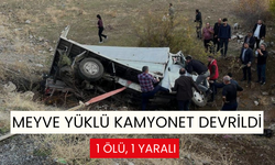 Meyve yüklü kamyonet devrildi: 1 ölü, 1 yaralı