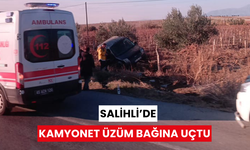 Salihli’de kamyonet üzüm bağına uçtu: 2 yaralı