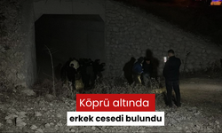 Köprü altında erkek cesedi bulundu